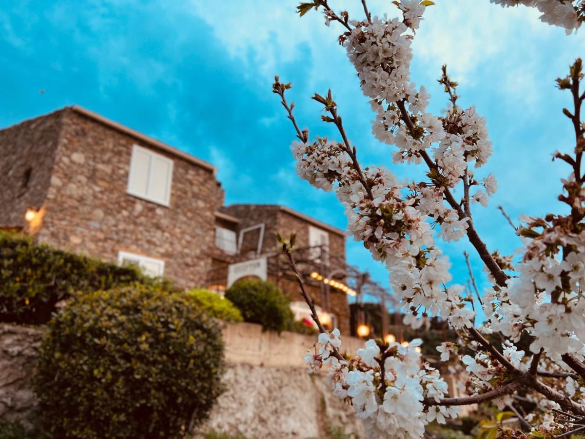 Casa Di Babbo Acomodação com café da manhã Macinaggio  Exterior foto